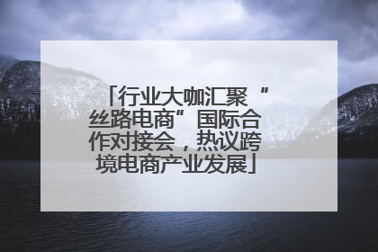 行业大咖汇聚“丝路电商”国际合作对接会，热议跨境电商产业发展