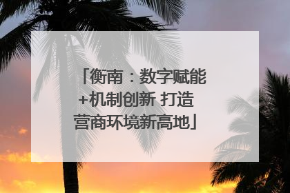 衡南：数字赋能+机制创新 打造营商环境新高地