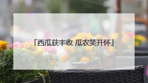 西瓜获丰收 瓜农笑开怀
