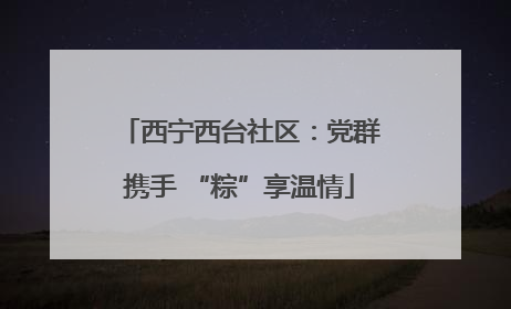 西宁西台社区：党群携手 “粽”享温情