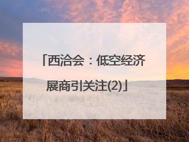 西洽会：低空经济展商引关注(2)
