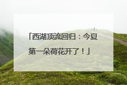 西湖顶流回归：今夏第一朵荷花开了！