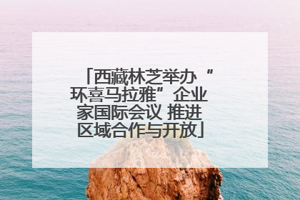 西藏林芝举办“环喜马拉雅”企业家国际会议 推进区域合作与开放