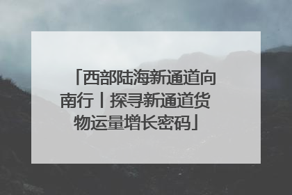 西部陆海新通道向南行丨探寻新通道货物运量增长密码