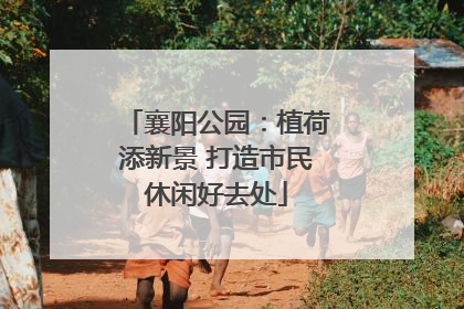 襄阳公园：植荷添新景 打造市民休闲好去处