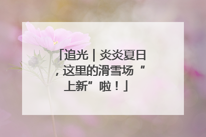 追光｜炎炎夏日，这里的滑雪场“上新”啦！