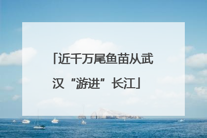近千万尾鱼苗从武汉“游进”长江