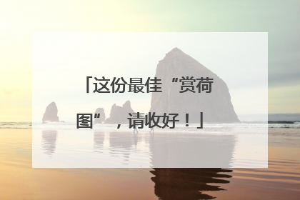这份最佳“赏荷图”，请收好！