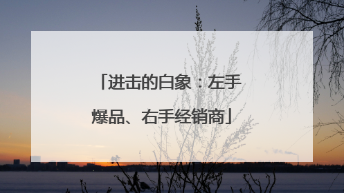 进击的白象：左手爆品、右手经销商