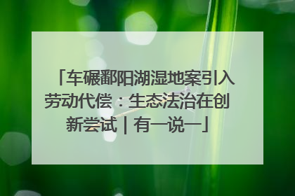 车碾鄱阳湖湿地案引入劳动代偿：生态法治在创新尝试｜有一说一