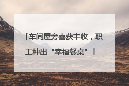 车间屋旁喜获丰收，职工种出“幸福餐桌”