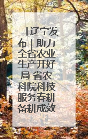 辽宁发布｜助力全省农业生产开好局 省农科院科技服务春耕备耕成效显著