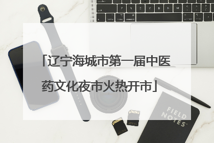 辽宁海城市第一届中医药文化夜市火热开市