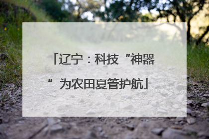 辽宁：科技“神器”为农田夏管护航