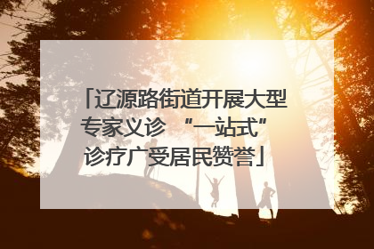 辽源路街道开展大型专家义诊 “一站式”诊疗广受居民赞誉