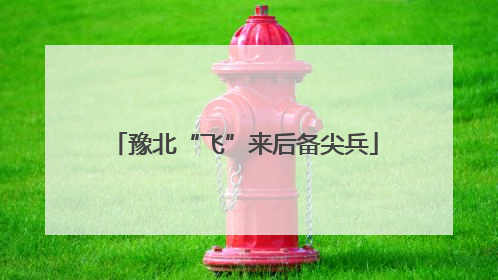 豫北“飞”来后备尖兵