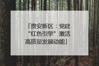 贵安新区：党建“红色引擎”激活高质量发展动能