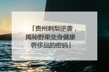 贵州刺梨逆袭，揭秘野果变身健康奢侈品的密码