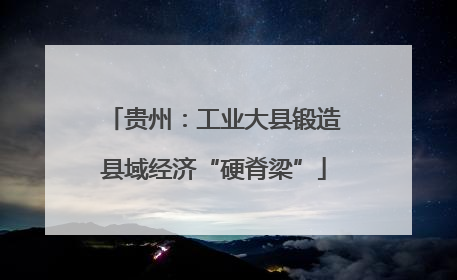 贵州：工业大县锻造县域经济“硬脊梁”