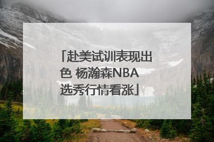 赴美试训表现出色 杨瀚森NBA选秀行情看涨
