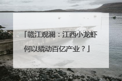 赣江观澜：江西小龙虾何以撬动百亿产业？