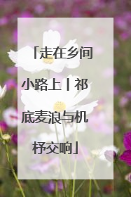 走在乡间小路上丨祁底麦浪与机杼交响
