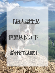 超大型集装箱船从长江下游出江试航