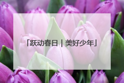跃动春日｜美好少年