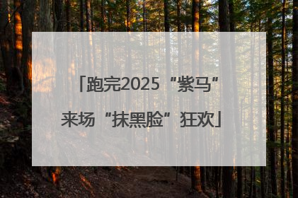 跑完2025“紫马” 来场“抹黑脸”狂欢