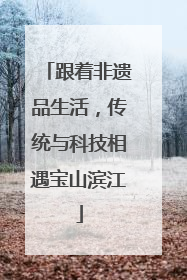 跟着非遗品生活，传统与科技相遇宝山滨江
