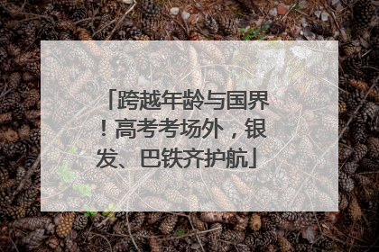 跨越年龄与国界！高考考场外，银发、巴铁齐护航