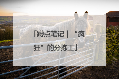 蹲点笔记｜“疯狂”的分拣工