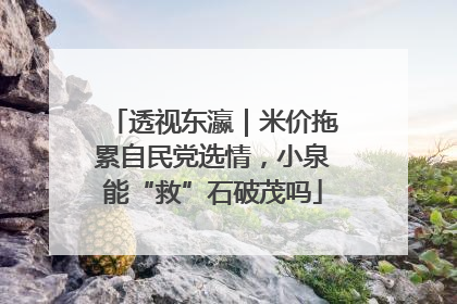 透视东瀛｜米价拖累自民党选情，小泉能“救”石破茂吗