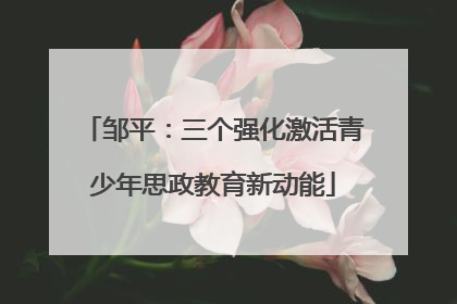 邹平：三个强化激活青少年思政教育新动能