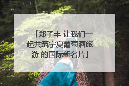 郑子丰 让我们一起共筑宁夏葡萄酒旅游 的国际新名片