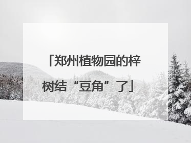 郑州植物园的梓树结“豆角”了
