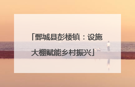 鄄城县彭楼镇：设施大棚赋能乡村振兴