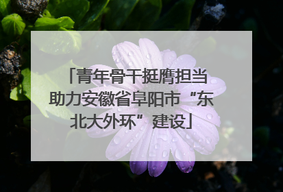 青年骨干挺膺担当 助力安徽省阜阳市“东北大外环”建设