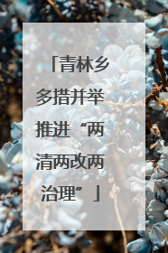 青林乡多措并举推进“两清两改两治理”