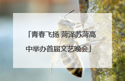 青春飞扬 菏泽苏菏高中举办首届文艺晚会