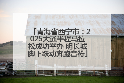 青海省西宁市：2025大通半程马拉松成功举办 明长城脚下跃动奔跑音符