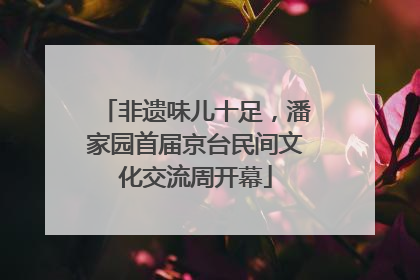 非遗味儿十足，潘家园首届京台民间文化交流周开幕