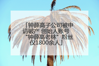钟薛高子公司被申请破产 创始人账号“钟薛高老林”粉丝仅1800余人
