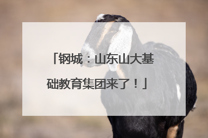 钢城：山东山大基础教育集团来了！