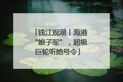 钱江观潮丨海港“娘子军”，超级巨轮听她号令