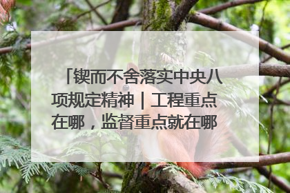 锲而不舍落实中央八项规定精神｜工程重点在哪，监督重点就在哪——广西深化政治监督护航平陆运河建设