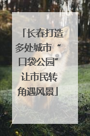 长春打造多处城市“口袋公园” 让市民转角遇风景