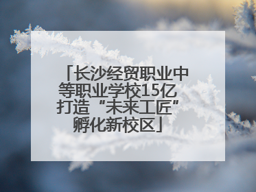 长沙经贸职业中等职业学校15亿打造“未来工匠”孵化新校区