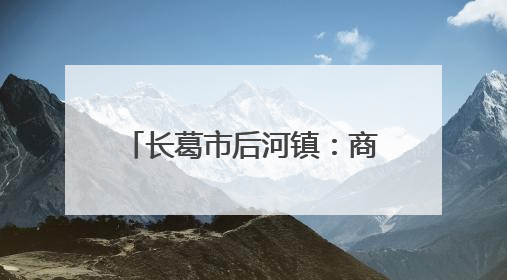 长葛市后河镇：商会为“桥”助发展