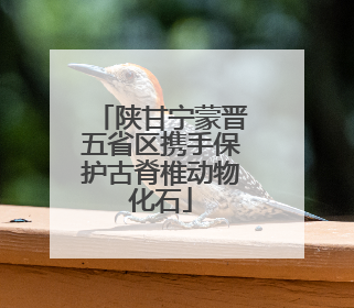 陕甘宁蒙晋五省区携手保护古脊椎动物化石